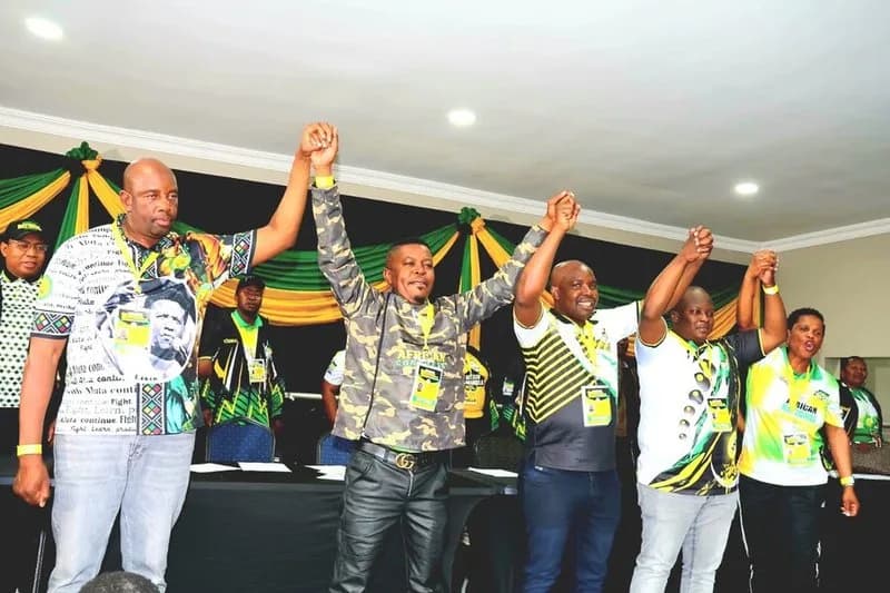 New ANC Waterberg Chair Criticises Mathabathaâs Exit Reasons
