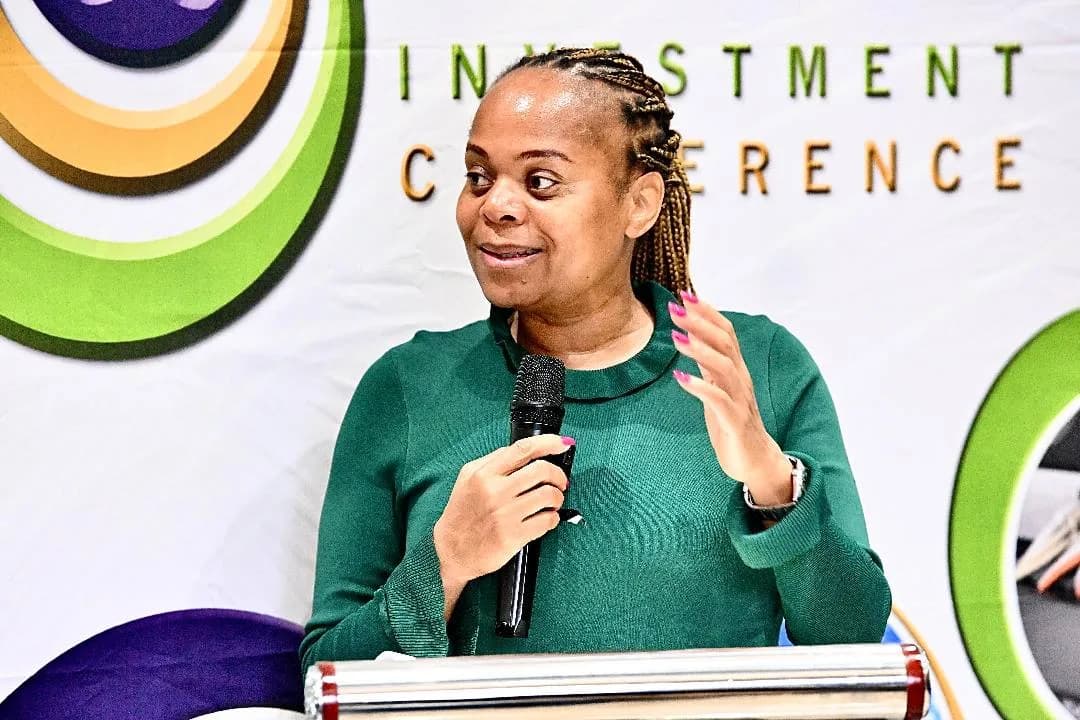 Limpopo Premier Launches Investment Conference Plans
