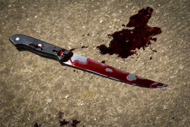 Acornhoek Murder Suspect Arrested