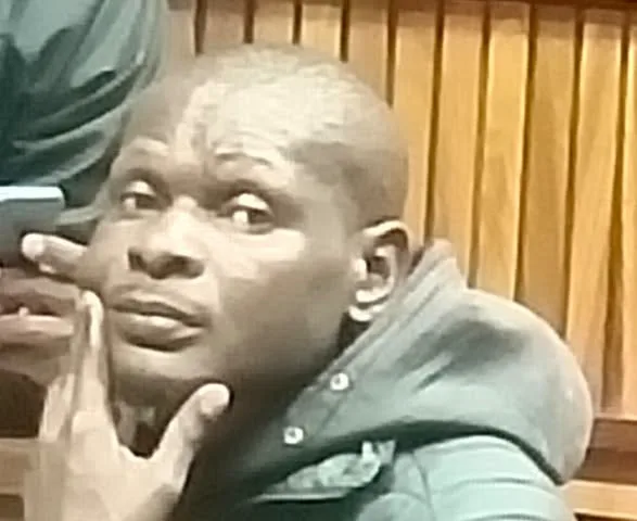 Derrick Mnisi known as the "Shabalala Trust"Â Rapist Jailed for Two Life Terms