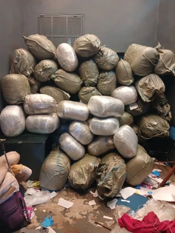 Two Arrested with R1.2M Dagga Near KMI