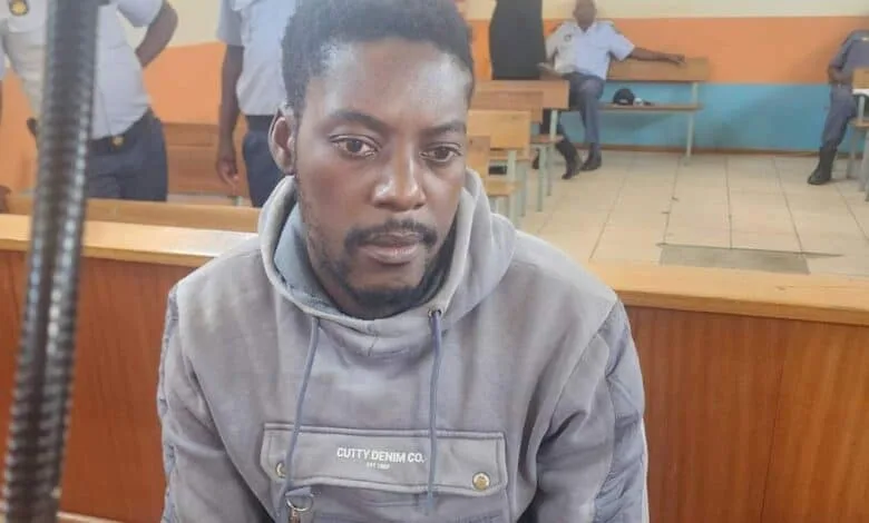 Mozambican Poacher Sentenced to 30 Years for Rhino Killings