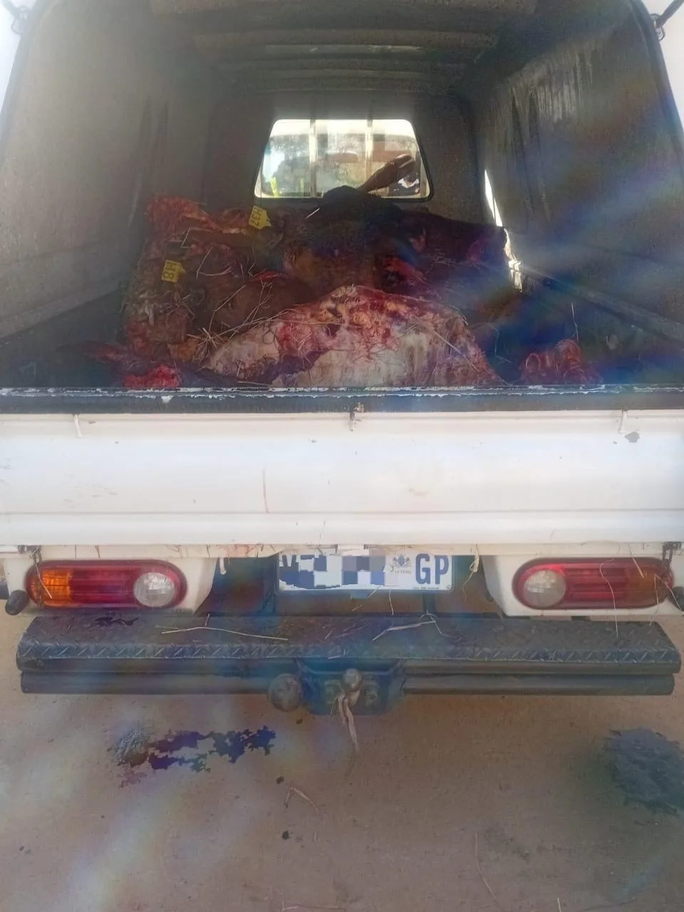 Five Arrested in Greylingstad Stock Theft