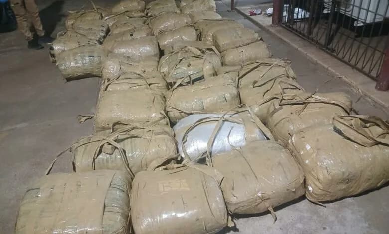 Limpopo Police Seize R2m Dagga and Codeine