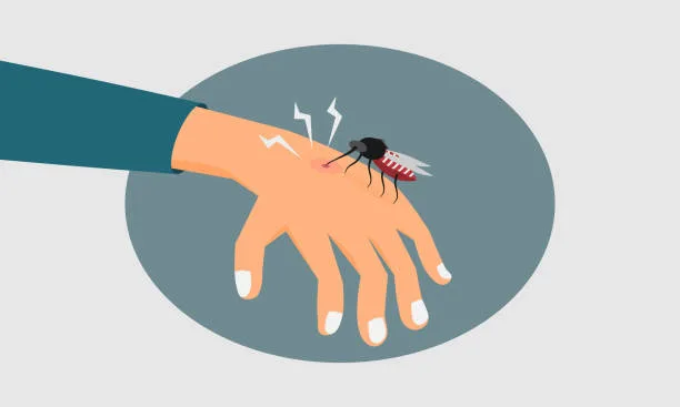 Why Mosquitoes Bite Some People More