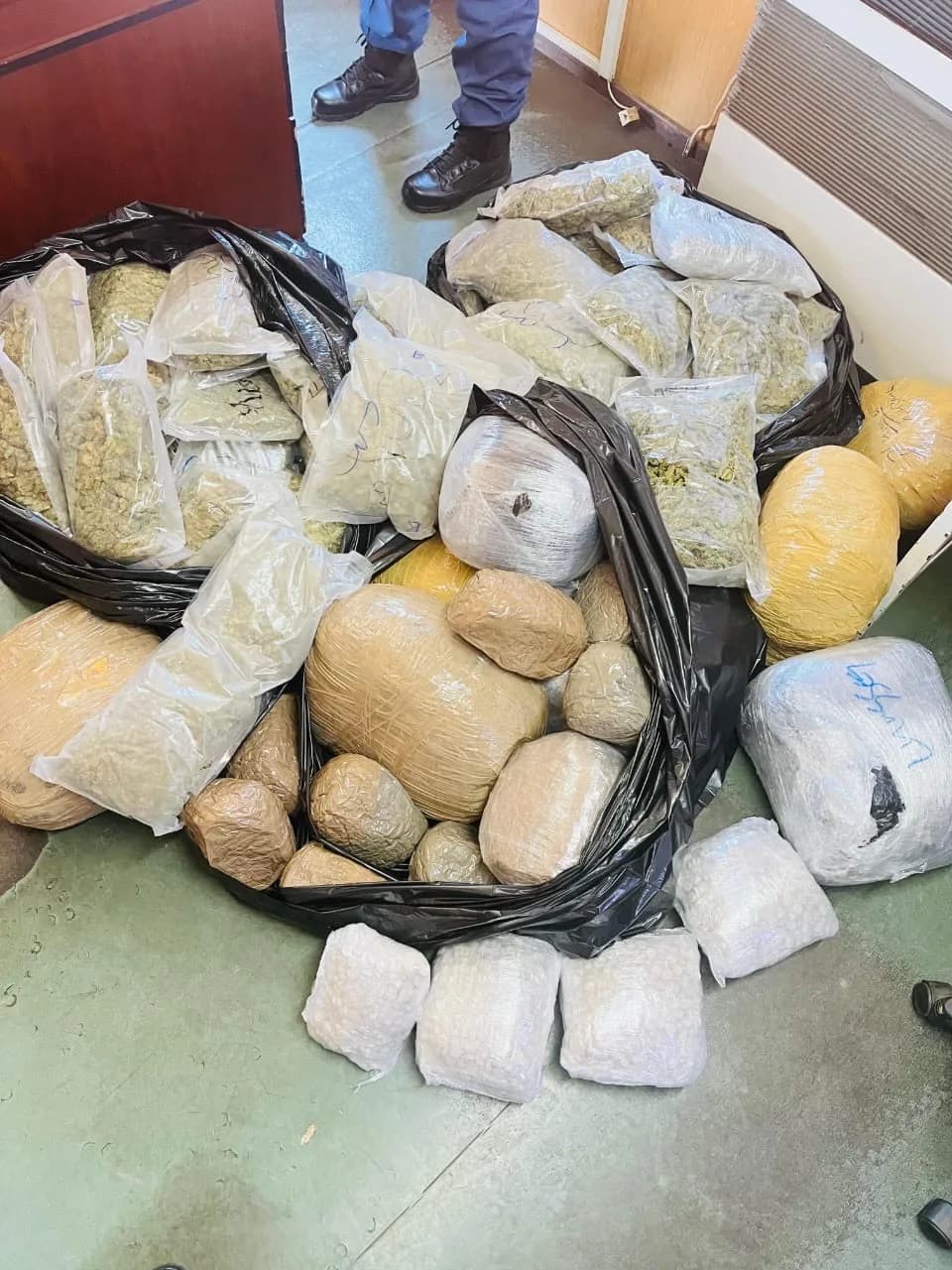 Hawks Seize Mandrax and Dagga Worth R900 000 at Oshoek Border