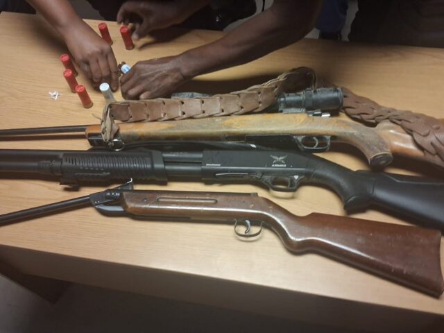 Police Recover Rifles in Pienaar