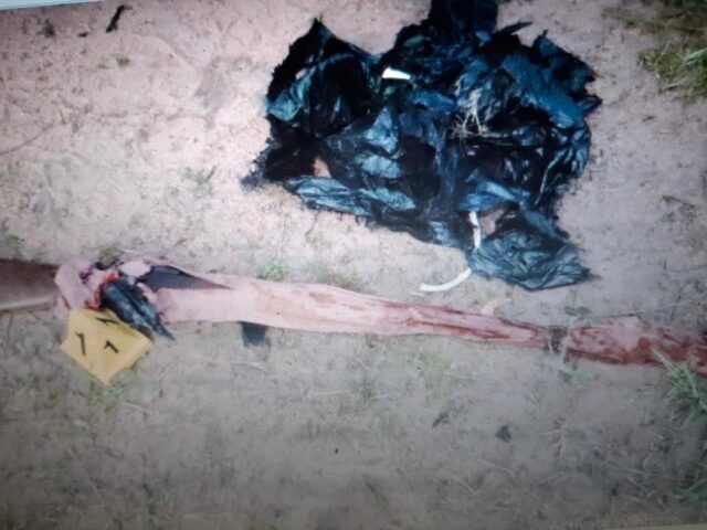 Poaching Suspect Arrested in Kruger Park