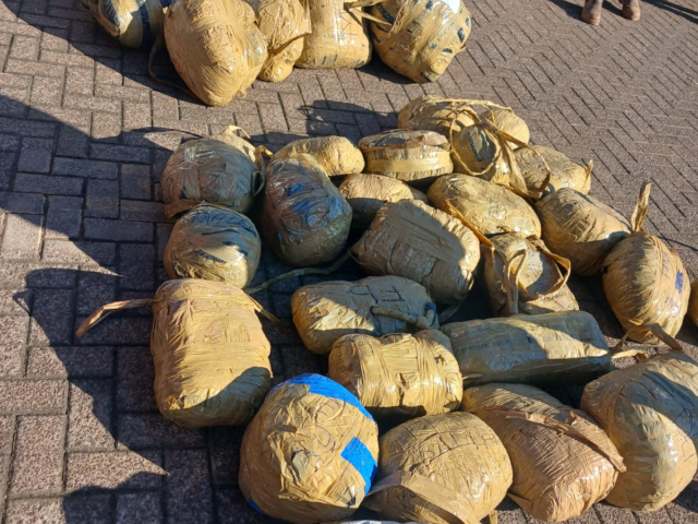 Two Arrested After Police Seize Dagga Worth R1.2 Million Near Middelburg